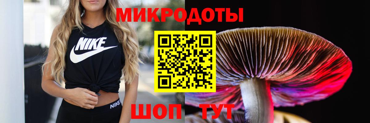 Галлюциногенные грибы ЛСД  Вход с VPN  Галлюциногенные грибы Psilocybine cubensis  Ноябрьск 